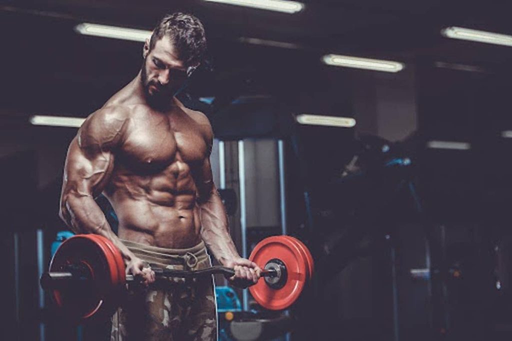 Muscle Gains