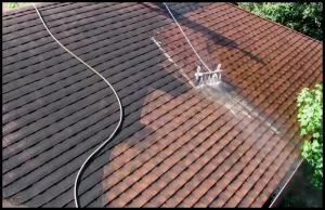 Roof Cleaning Service